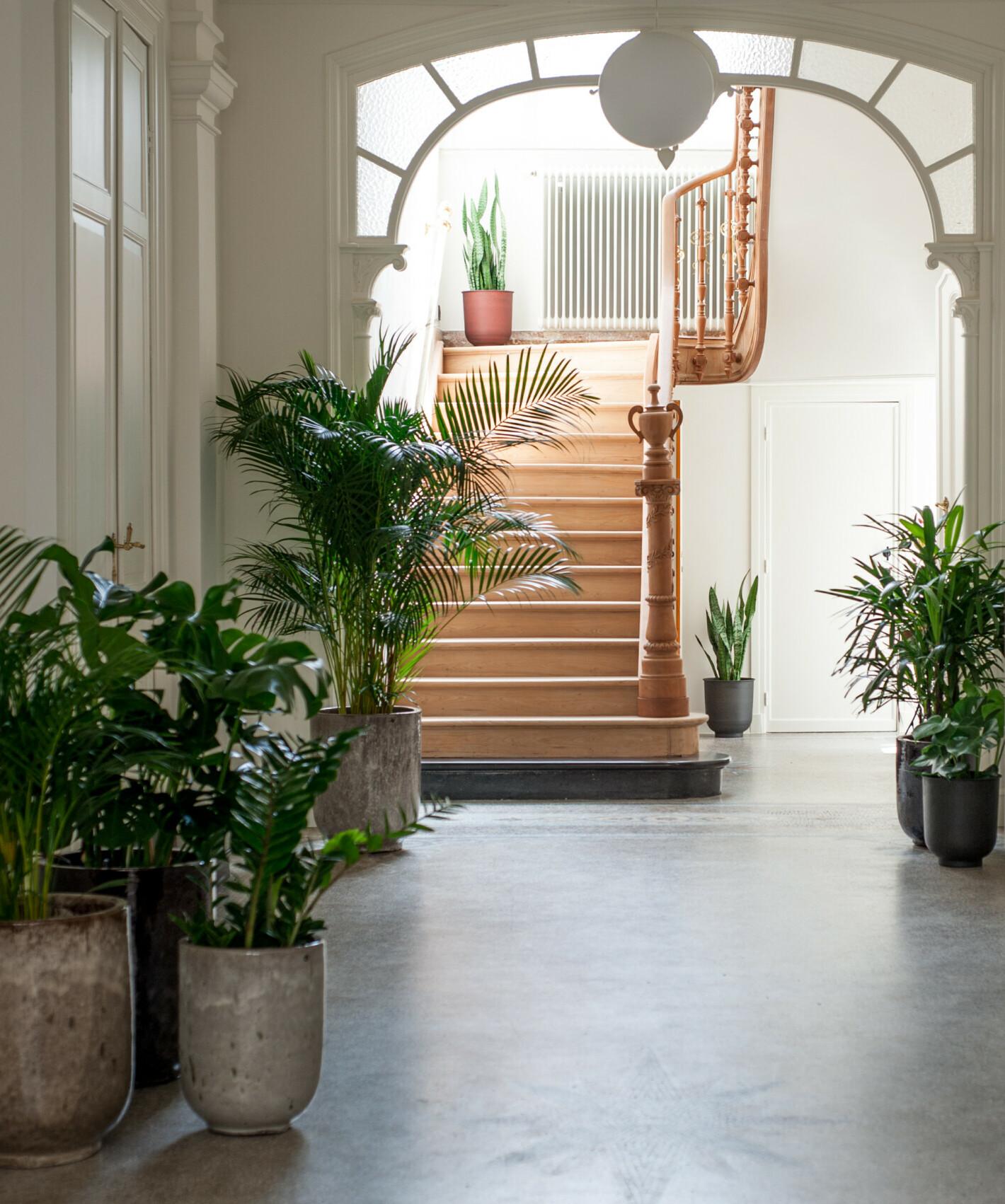 B'Guest Sleep & Retreat Bed & Breakfast Bruges Exterior foto